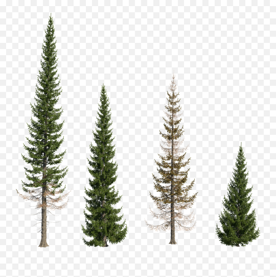 Plantfactory Infinite Customization Emoji,Spruce Tree Clipart