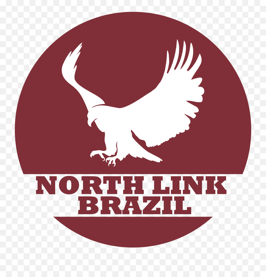 Northlink Brazil Connectamericas Emoji,Brazil Logo