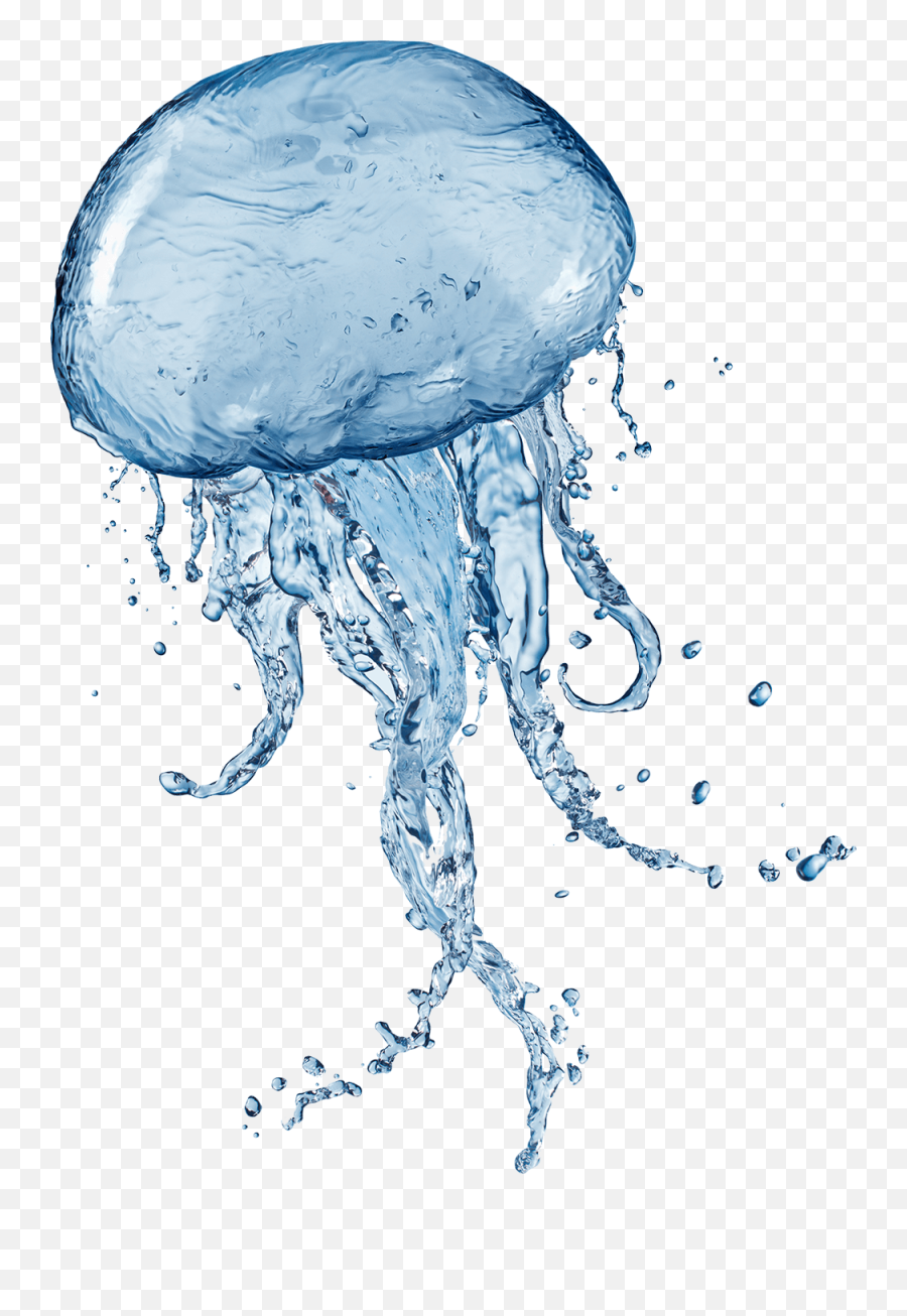 Jellyfish Png Transparent U0026 Png Clipart Free Download - Png Transparent Background Jellyfish Transparent Emoji,Jellyfish Clipart