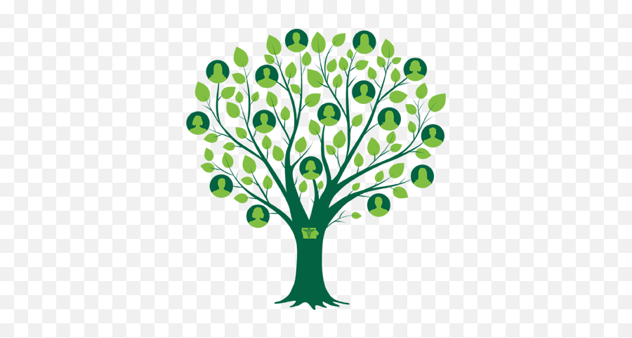 Clipart Family Tree Png Png Image With - Family Tree Transparent Emoji,History Clipart