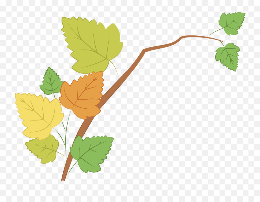 Branch With Autumn Leaves Clipart Free Download Transparent - Grapevines Emoji,Fall Leaves Clipart
