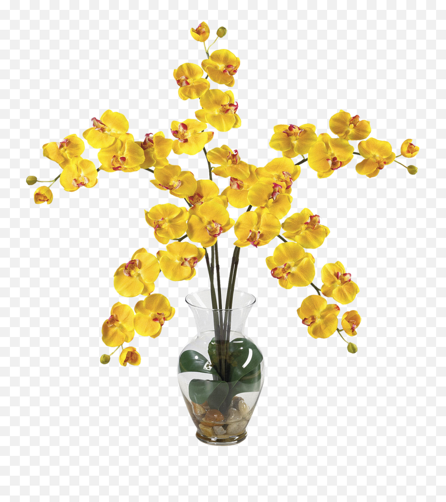 Classical Flower Vase Png Clipart - Png Transparent Background Flower Vases Png Emoji,Vase Clipart