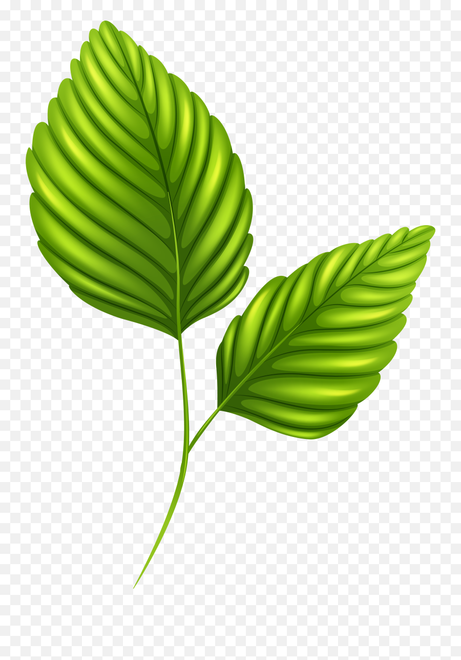 2 Clipart Leaf 2 Leaf Transparent Free For Download On - Two Palm Leaves Png Emoji,Leaves Png