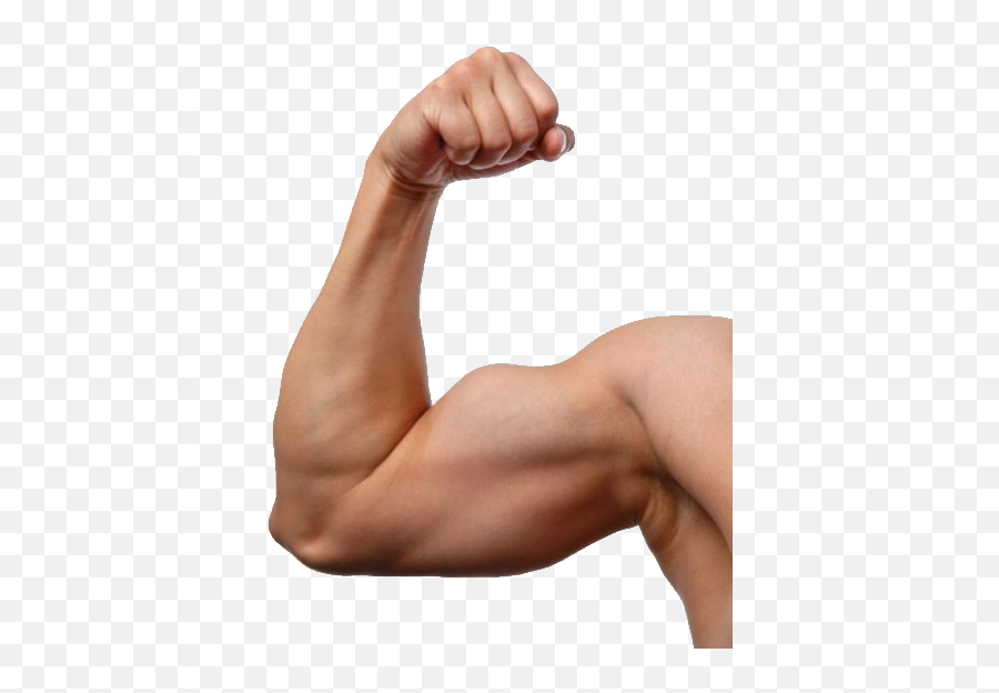 Muscle Arm Transparent Image Emoji,Arm Transparent