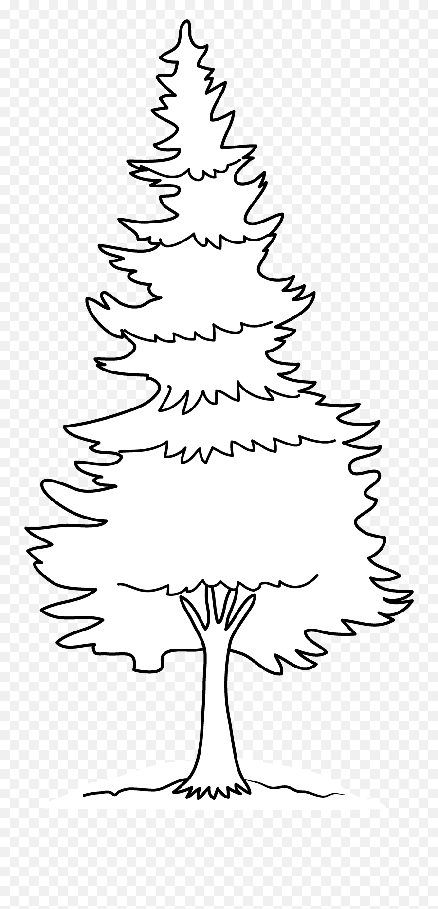 Pine Tree Coloring Page Free Clip Art - White Pine Trees With Black Background Emoji,Pine Tree Clipart