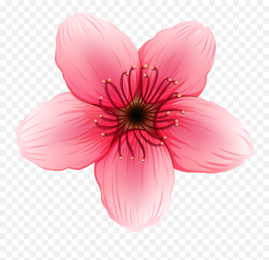 Clipart Flower Png - Png Clipart Flower Png Transparent Pink Flower Illustration Png Emoji,Wildflower Png