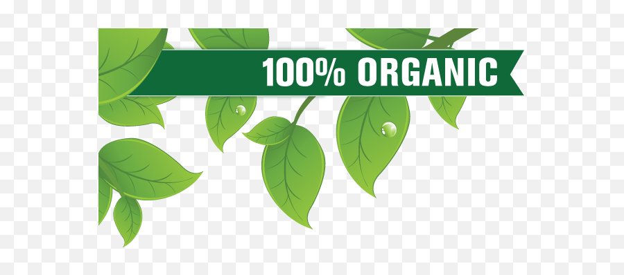 Green Banner - Organic Emoji,Organic Png