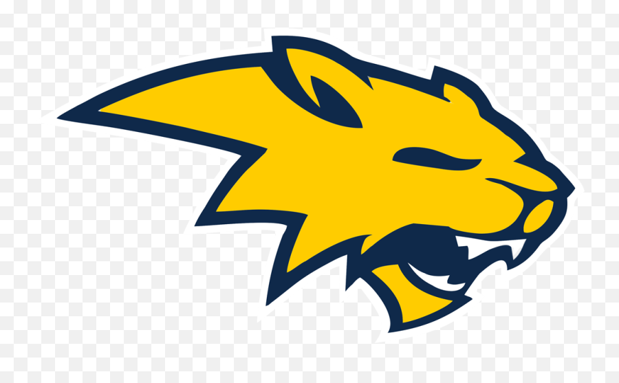 Neuqua Valley High School Summer Camp Reg Emoji,High School Musical Wildcats Logo