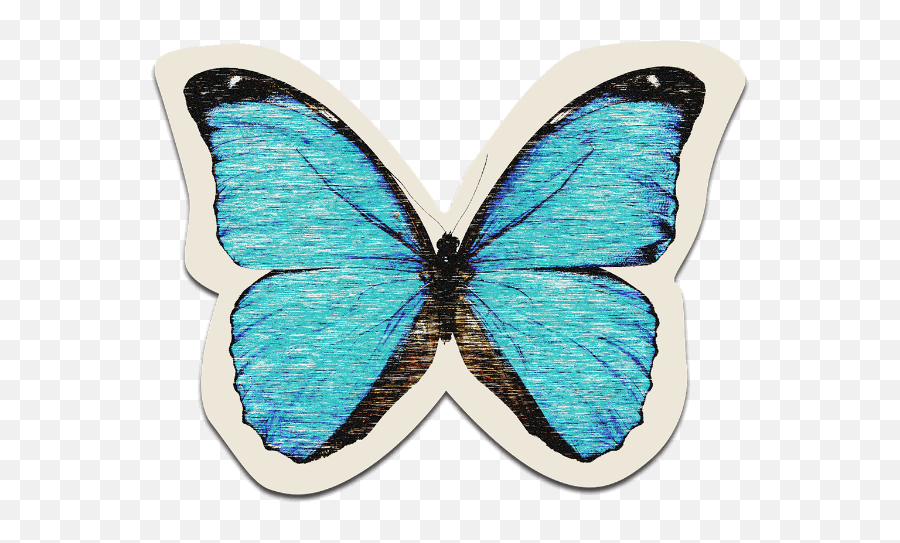 Free Aesthetics Clip Art Customized - Blue Morpho Butterfly Emoji,Aesthetic Clipart