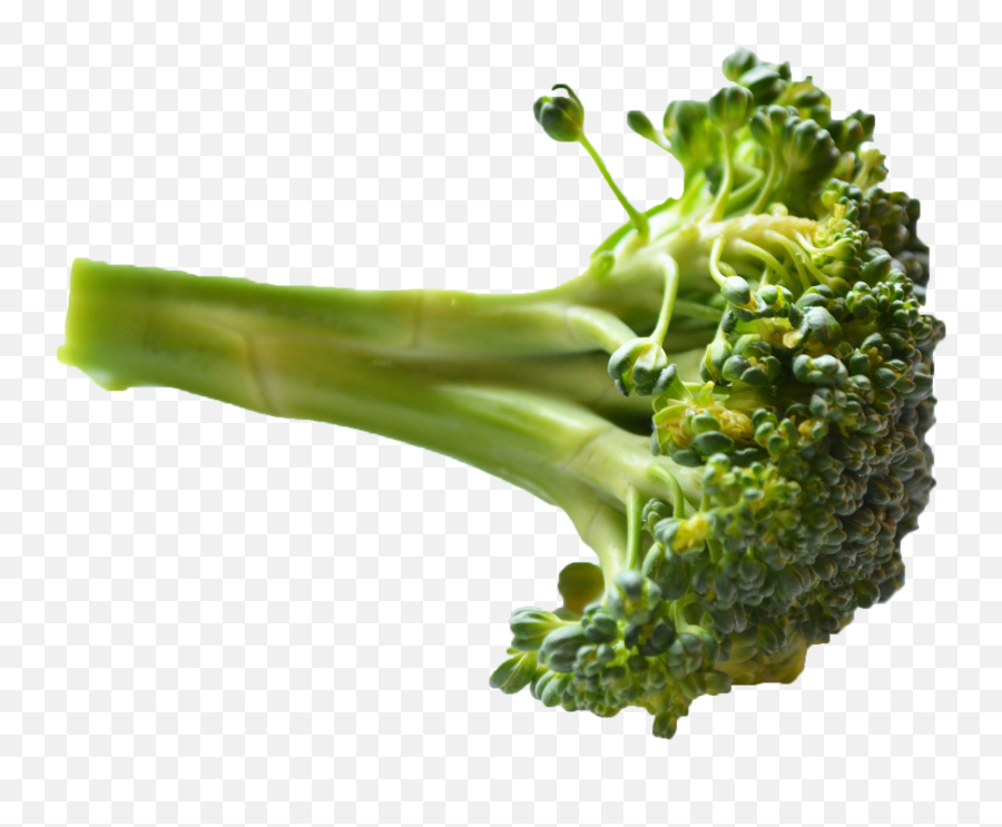 Broccoli Png Image - Broccoli Transparent Png Hd Emoji,Broccoli Png