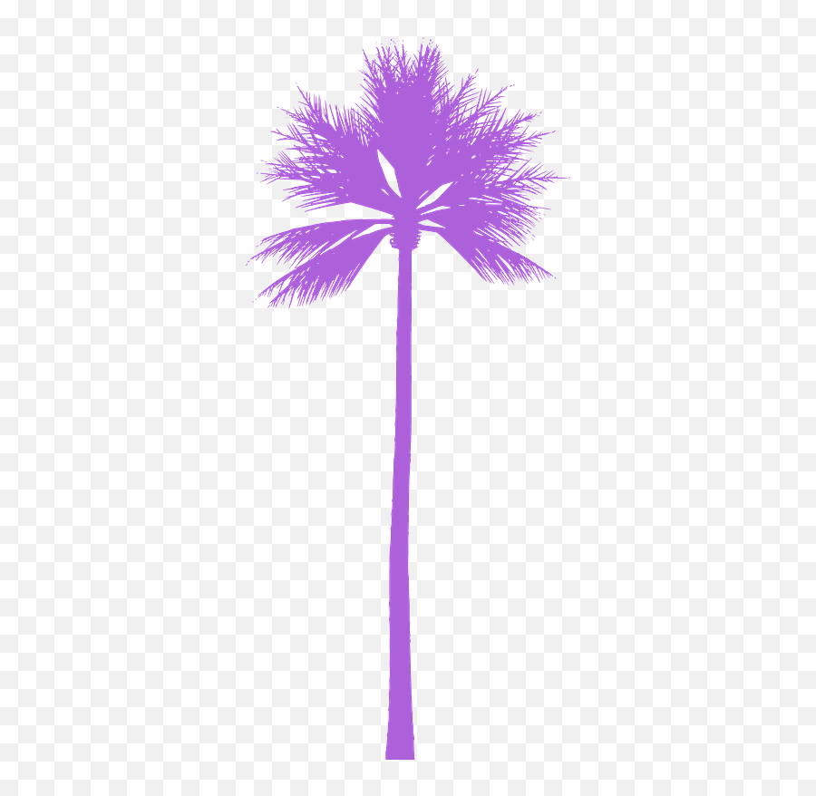 Palm Tree Silhouette - Palm Tree Silouhette Png Emoji,Palm Tree Silhouette Png