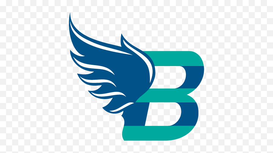 Home Birdu0027s Eye Bookkeeping - Language Emoji,Bookkeeping Logo