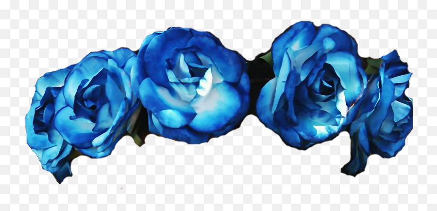 Download Flowers Roses Flowercrown Diadem Blue Flower Crown Emoji,Flower Crown Clipart