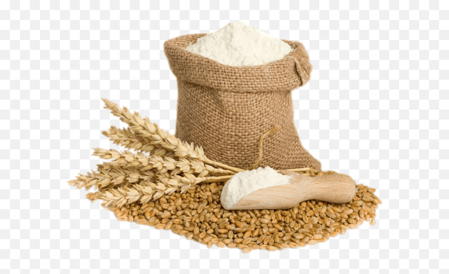 Wheat Grains Transparent Png - Stickpng Whole Wheat Atta Emoji,Wheat Clipart