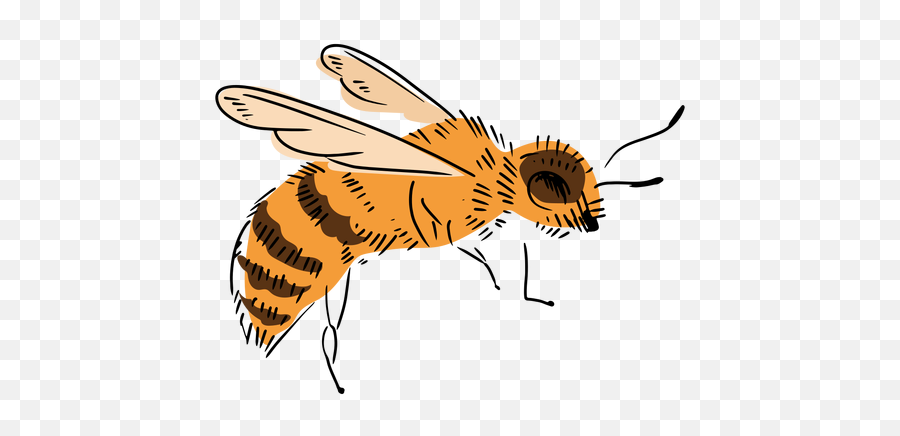 Side Bee Illustration Transparent Png U0026 Svg Vector Emoji,Bee Transparent Background