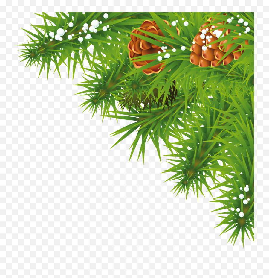 Fir - Corner Christmas Border Png Emoji,Branch Png