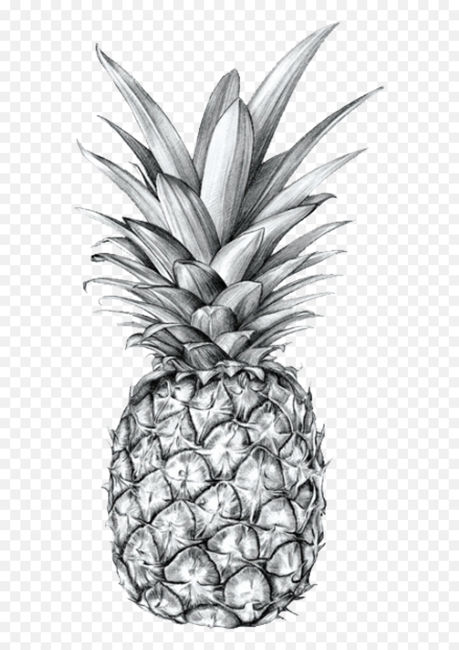 Tumblr Blackandwhite Pineapple Fruit Aesthetic Emoji,Pineapple Png