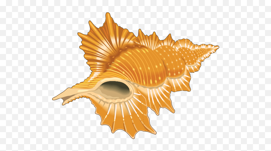 Free - Clip Art Seashells Cartoon Emoji,Seashell Clipart