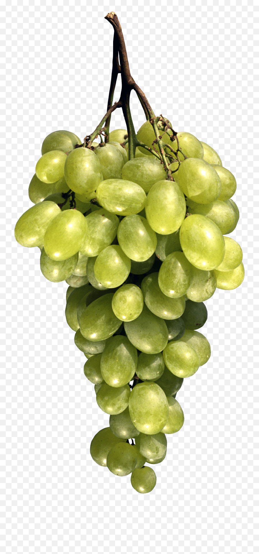 Grape Png Png Clipart 5 - Fruit Image Download Emoji,Grapes Clipart