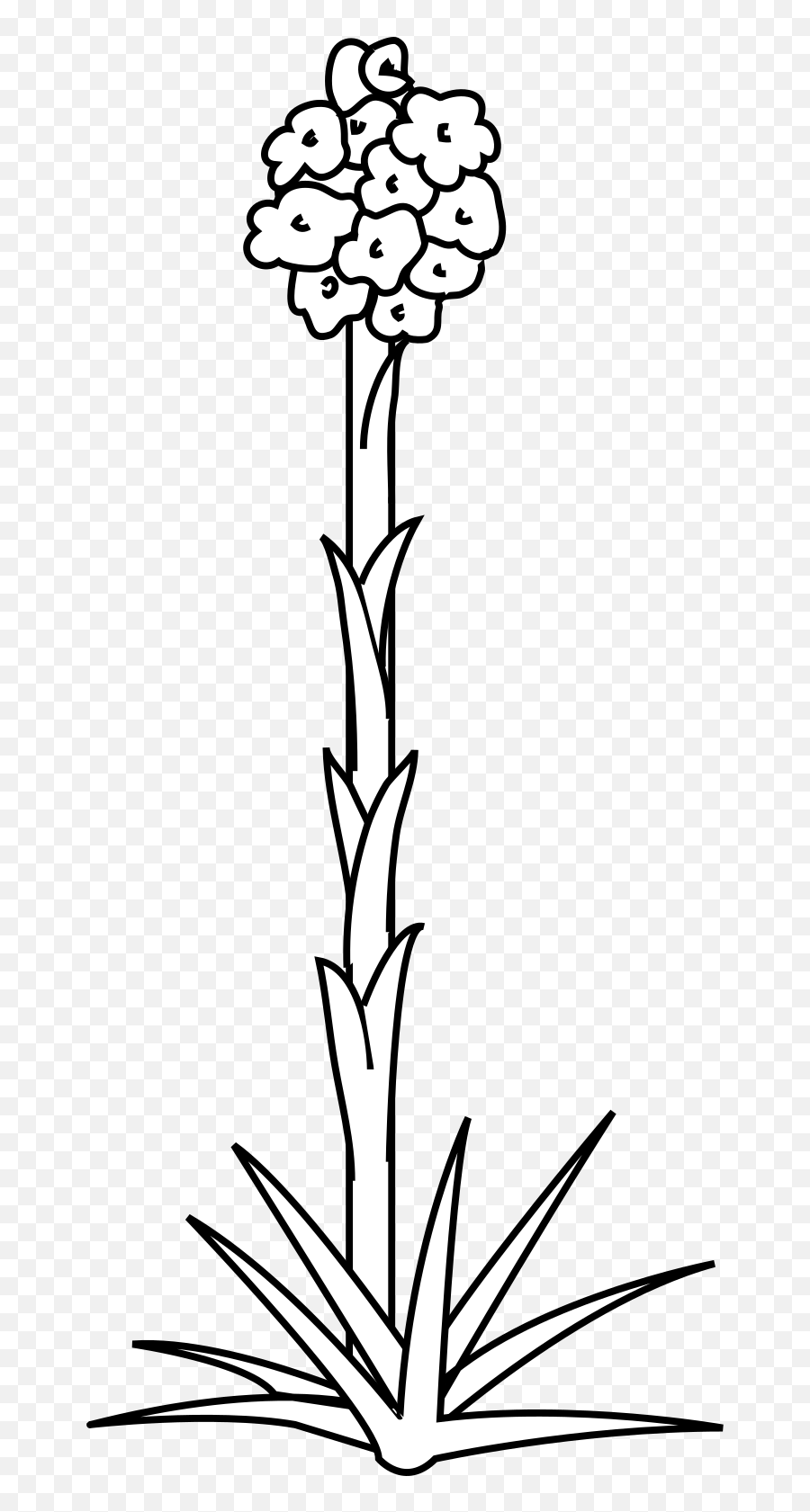 Plant Flower Outline Svg Vector Plant Flower Outline Clip Emoji,Flower Stem Clipart Black And White