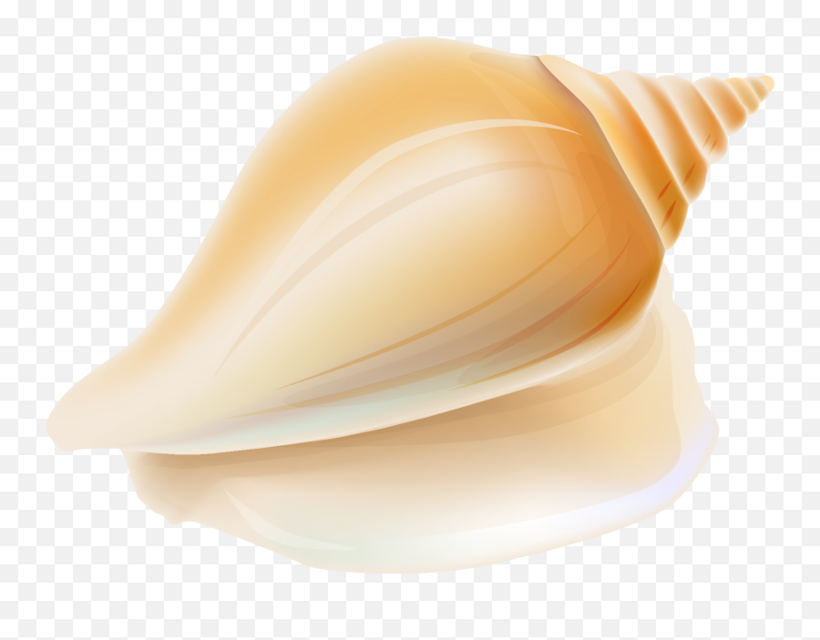 Transparent Seashell Clipart - Trumpet Emoji,Seashell Clipart