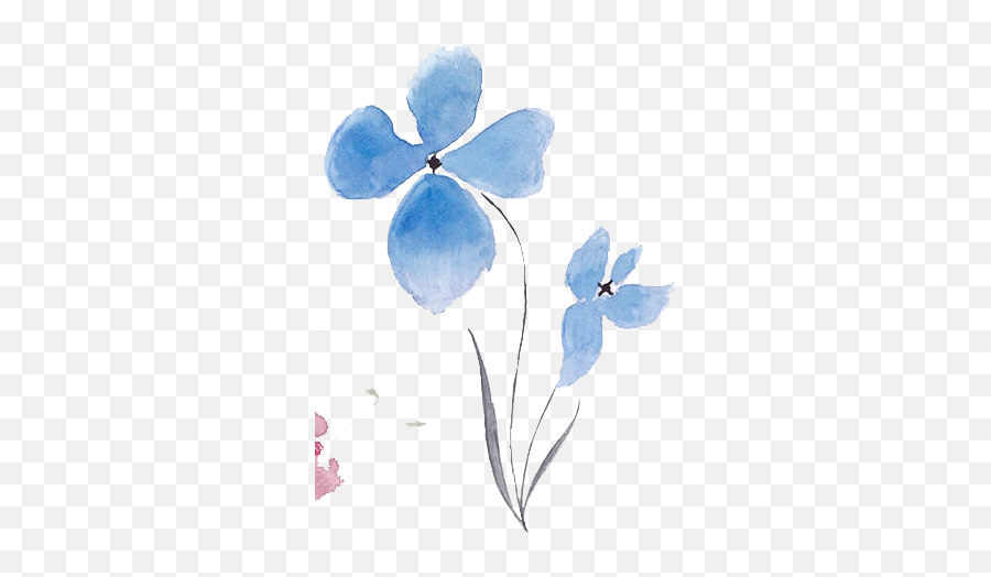 Free Abstract Watercolor Flowers Vector U2013 Free Png Images - Transparent Free Watercolor Flowers Vector Png Emoji,Watercolor Flowers Png