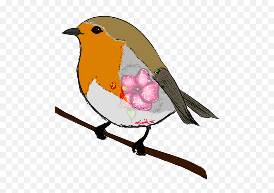 European Robin Bird Transparent Hq Png Arts Emoji,Robin Transparent