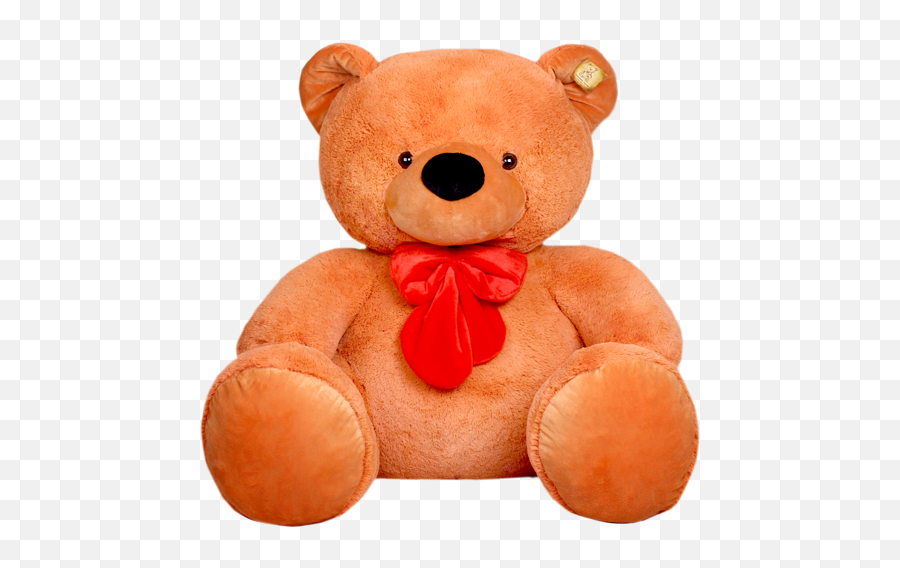 Teddy Bear Png - Teddy Bear Colour Images Download Emoji,Teddy Bear Png