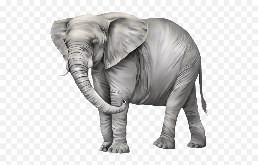 Baby Elephant Elephant Silhouette Clipart - Elephant Png Clipart Emoji,Elephant Silhouette Clipart