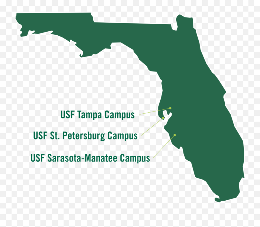 Explore Usf Transfer University Of South Florida - Florida State Silhouette Emoji,Usf Bulls Logo