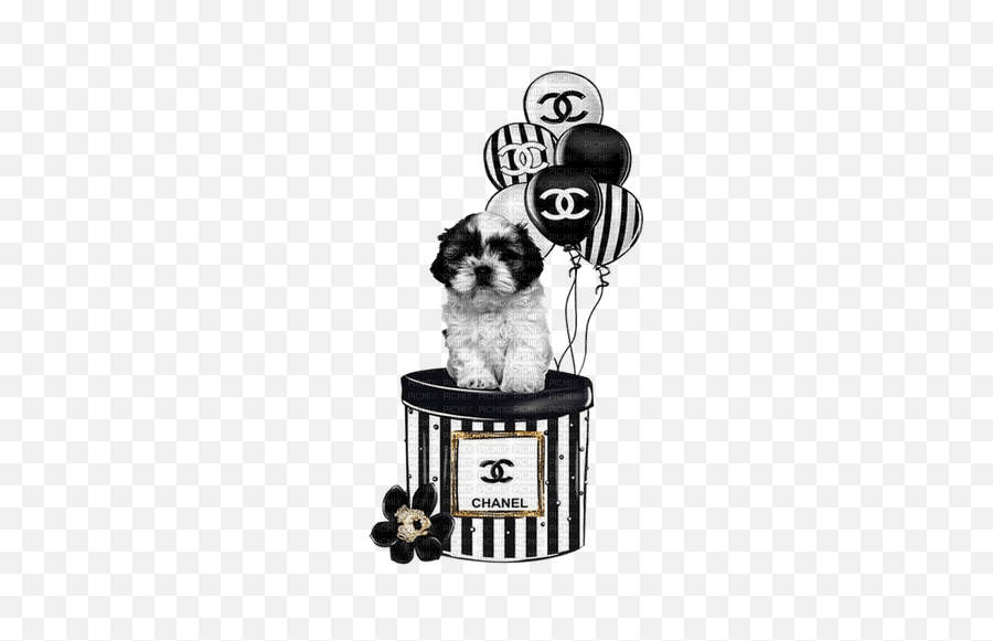 Chien Coco Chanel Cheyenne63 - Picmix Emoji,Coco Chanel Logo Png