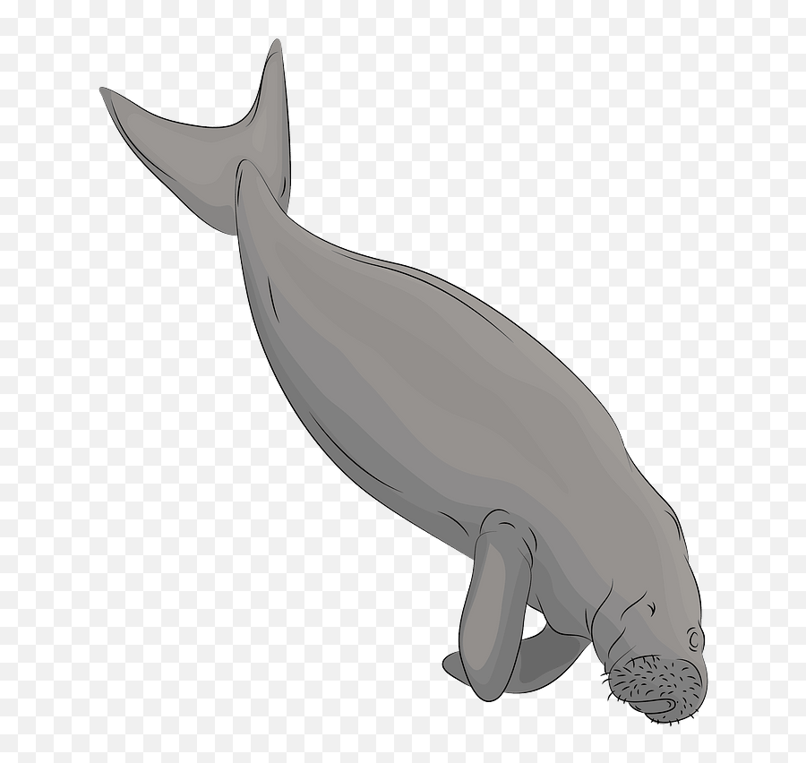 Dugong Clipart Free Download Transparent Png Creazilla Emoji,Ocean Animals Clipart