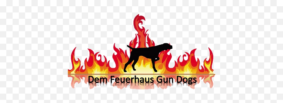 Dax Vom Hinterland Dem Feuerhaus Gun Dogs Gsp Texas Emoji,Pedigree Logo