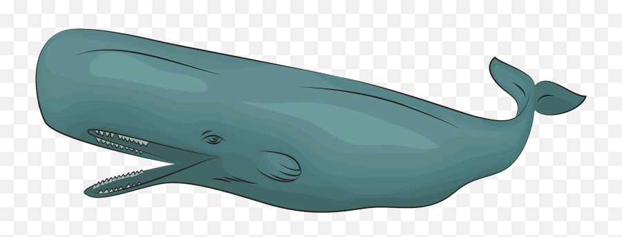 Free Sperm Whale Cliparts Download - Huge Emoji,Whale Clipart