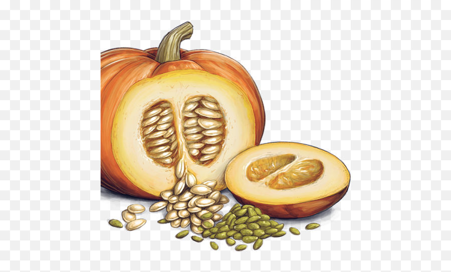 Library Of Pumpkin Seeds Svg Png Files Clipart Art 2019 - Pumpkin With Seed Png Emoji,Seeds Clipart