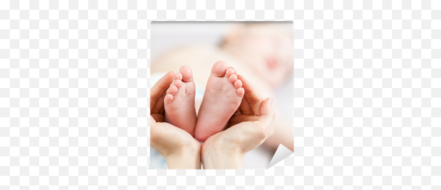 Mother Hands Holding Small Babyu0027s Feet Wall Mural U2022 Pixers - We Live To Change Small Baby Foot Emoji,Baby Feet Png
