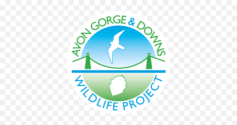 Home - Avon Gorge U0026 Downs Wildlife Project Language Emoji,Avon Logo