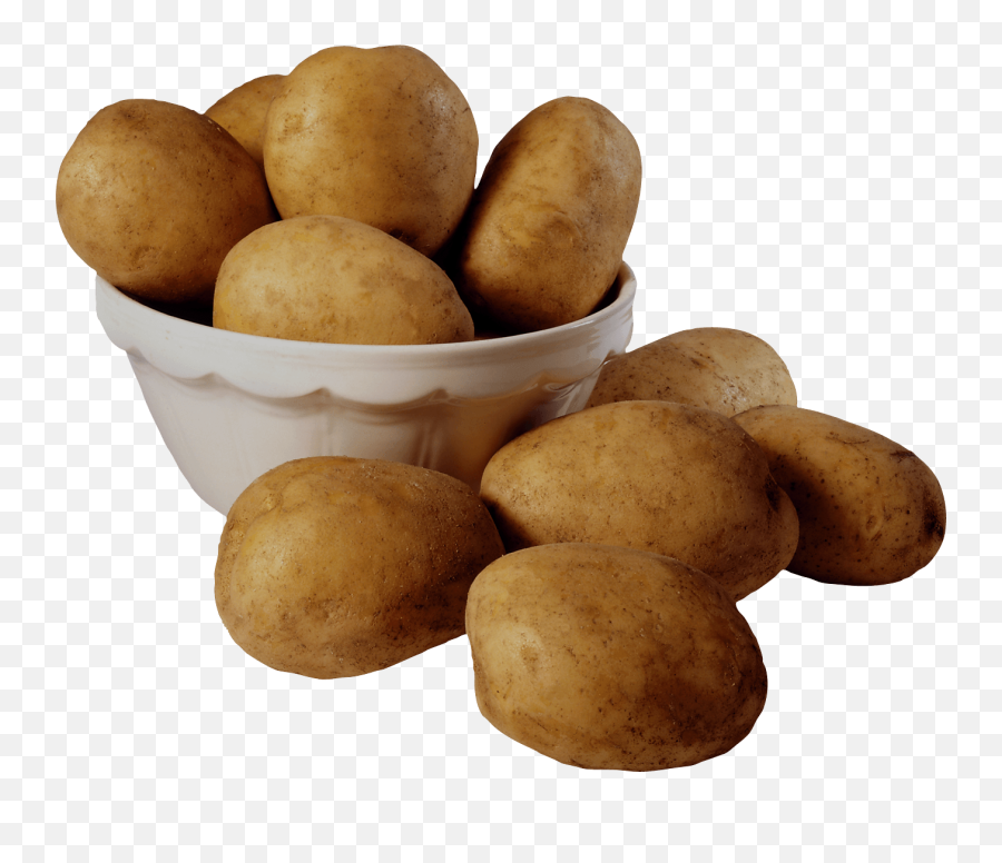 Png Images Vector Psd Clipart Templates - High Quality Potato Png Emoji,Potato Png