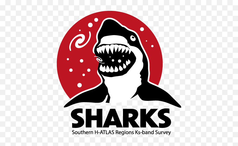 Sharks Project - Home Dot Emoji,Sharks Logo