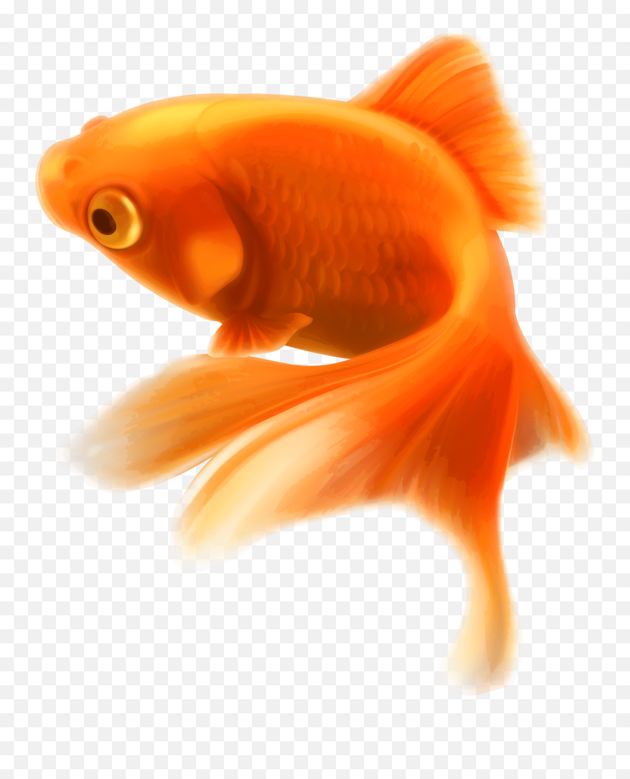Gold Fish Transparent Png Emoji,Fish Png