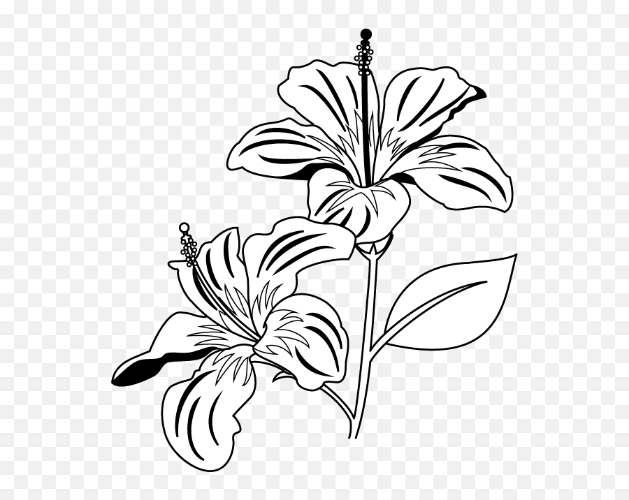 Download Hd Hibiscus Clipart Coral - Gumamela Clip Art Black Black And White Clipart Hibiscus Flower Emoji,Coral Clipart
