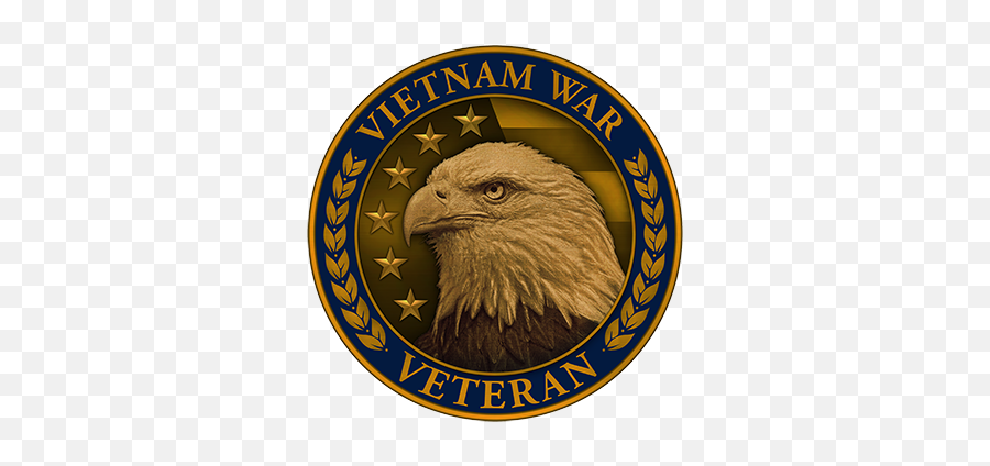 Vietnam Veteran Lapel Pin Vietnam Veteran Lapel Pin - Vietnam War Veteran Pin Emoji,Vietnam Flag Png