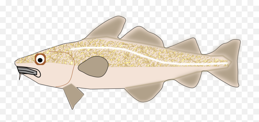Fish Cod Trout Png Clipart - Pollocks Emoji,Trout Clipart