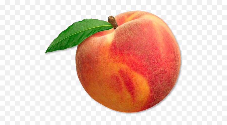 Peach Png Transparent Background Free - Transparent Peach Fruit Emoji,Peaches Png