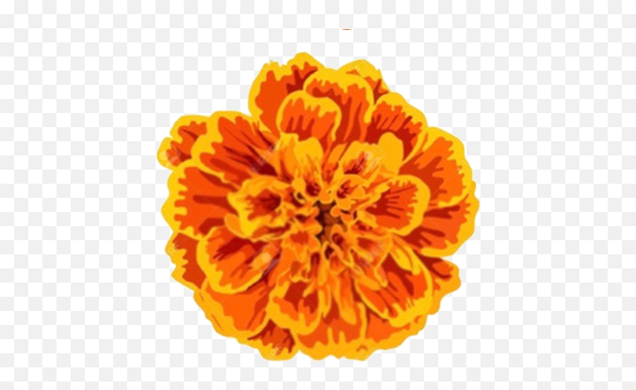 Hilo Intermediate School Emoji,Day Of The Dead Flowers Clipart