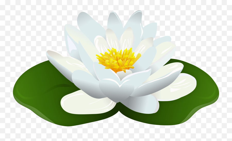 View 11 Water Lily Clipart Png - Mediachangeboxtop Emoji,Lily Pad Flower Clipart