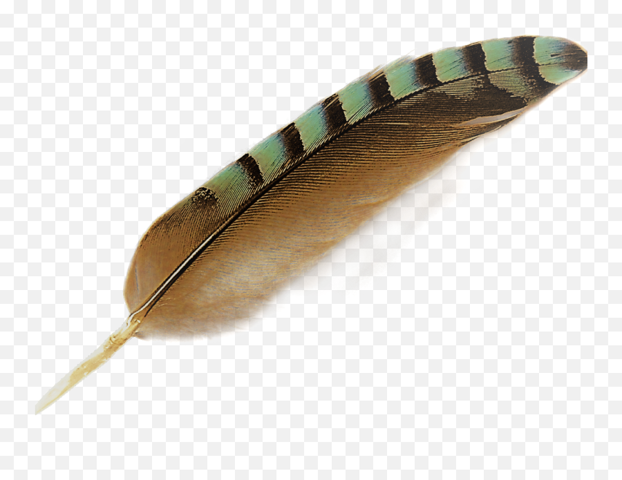 Home Rusty Feather Boutique Emoji,Feather Logo