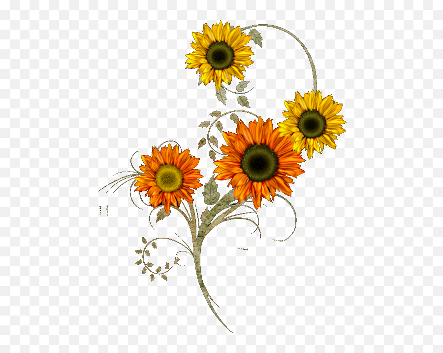 Sunflower Thanksgiving Clipart - Beautiful Animated Thanksgiving Emoji,Clipart Thanksgiving