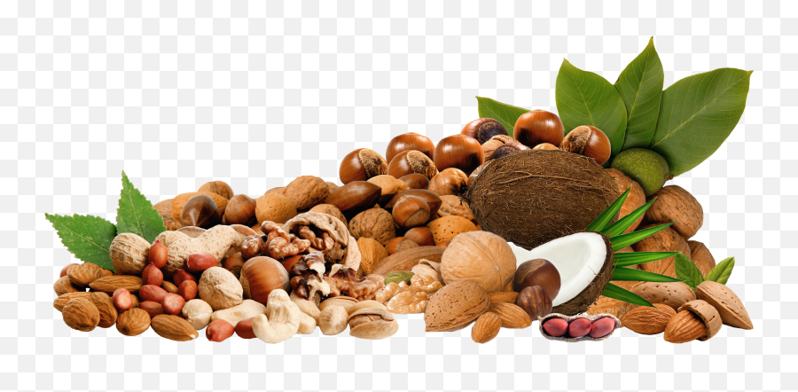 Seed Clipart Mixed Nut - Mixed Seeds And Nuts Png Nuts And Seeds Clipart Png Emoji,Seeds Clipart