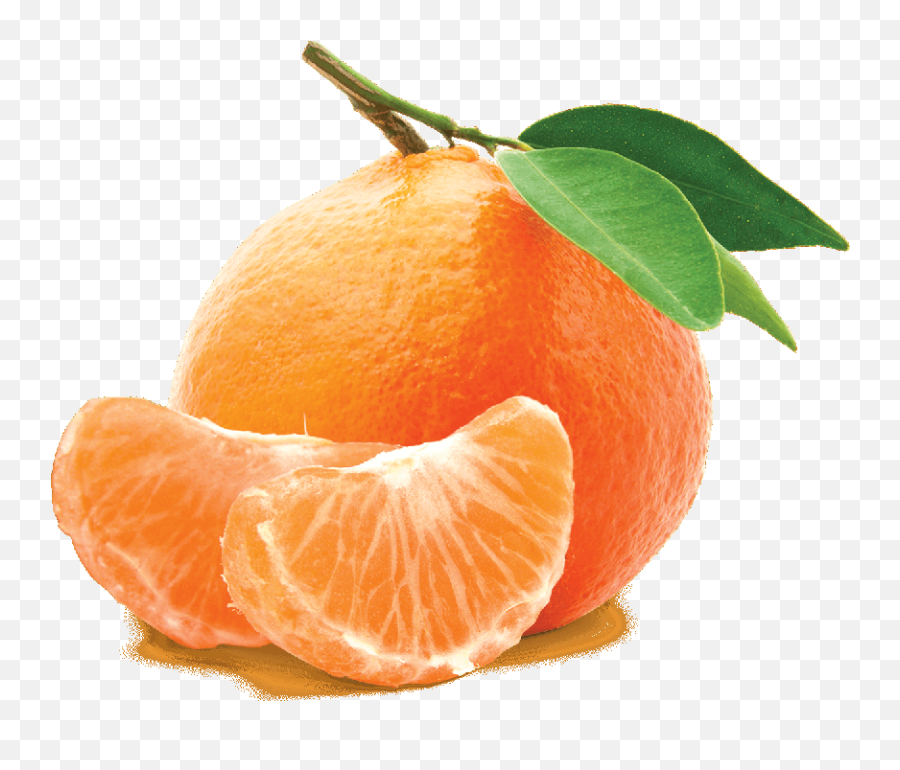 Citrus Egypt Valley Company - Mandarin Png Emoji,Hookah Clipart